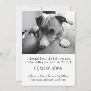 Meddelande om rolig hund Gravid