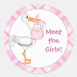 Meddelande om Stork & Twin Girls Baby Runt Klistermärke