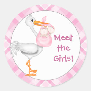 Meddelande om Stork & Twin Girls Baby Runt Klistermärke