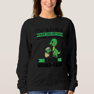 Meddelande Storebror Dinosaurier rex Storebror T Shirt