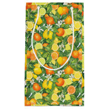 Medelhavet Akvarell Citrus Citroner & Apelsiner P