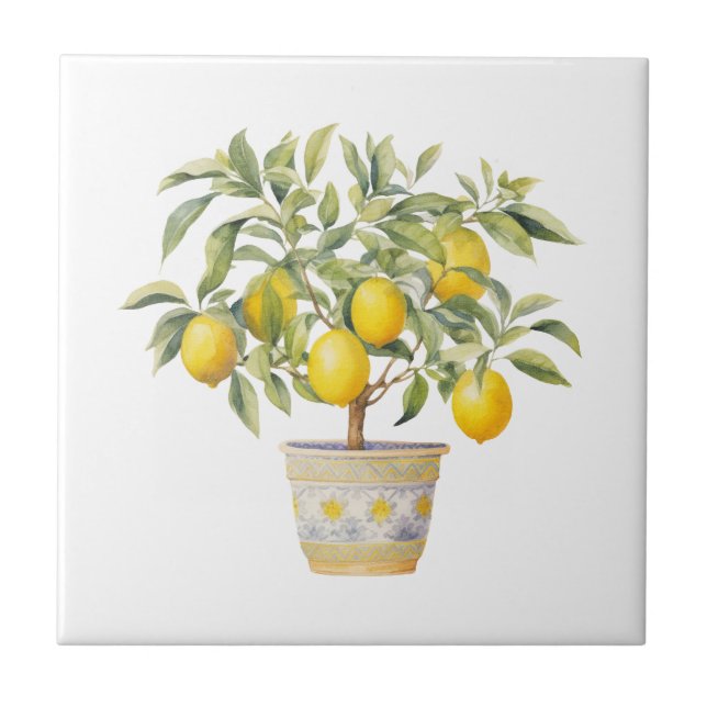 Medelhavet Toscan Lemon Träd Kakelplatta (Framsidan)