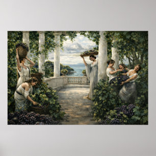 Medelhavet Vinodling Druidrivning Poster