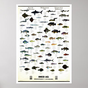 Medelhavets fiskerepro, Vintage Repro. Skriv Poster