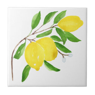 Medelhavsplattor, majolica,sicilianska stil,citon kakelplatta