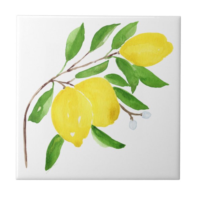 Medelhavsplattor, majolica,sicilianska stil,citon kakelplatta (Framsidan)