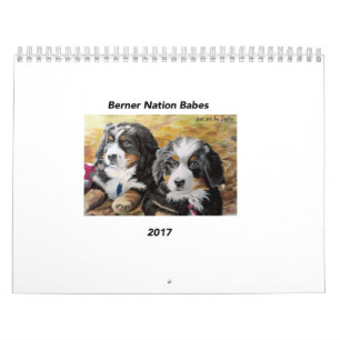 Medelkalender för Berner nationBabes 2017 Kalender