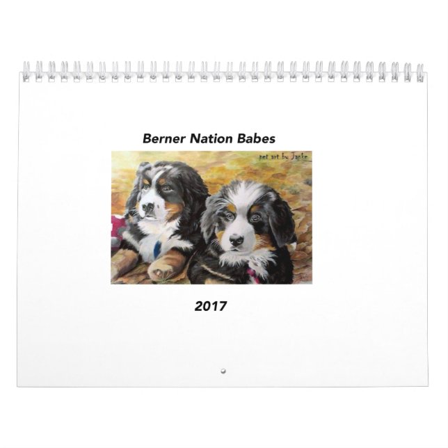 Medelkalender för Berner nationBabes 2017 Kalender (Omslag)
