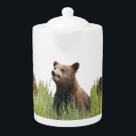 medelstor tekanna unge i grizzlybjörn<br><div class="desc">medelstor tekanna unge Skapat med grizzly-björn,  bearsandmore</div>