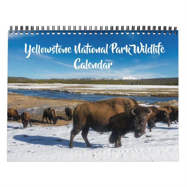 Medelstor Yellowstone-kalender - Kalender med vild (Omslag)