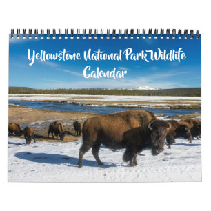 Medelstor Yellowstone-kalender - Kalender med vild