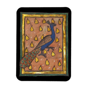 Medeltida Bestiarium Påfågel c. 1270 Magnet