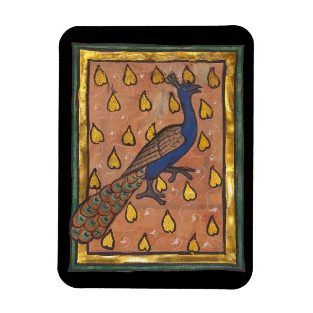 Medeltida Bestiarium Påfågel c. 1270 Magnet (Vertikal)