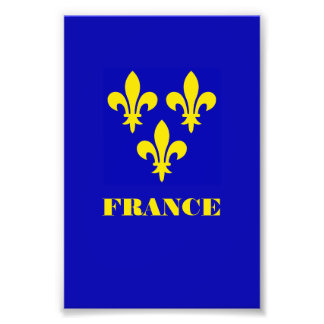 Medeltida fransk kunglig standar Trogenhet Heraldi Fototryck