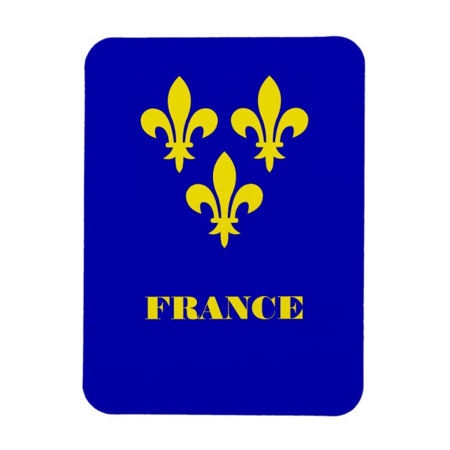 Medeltida fransk kunglig standard trohet heraldik magnet (Vertikal)