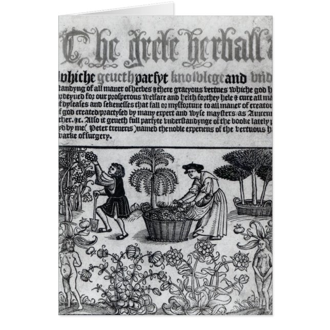 Medeltida örtagård hälsningskort (Framsidan)