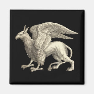 Medeltida renaissancegrip magnet