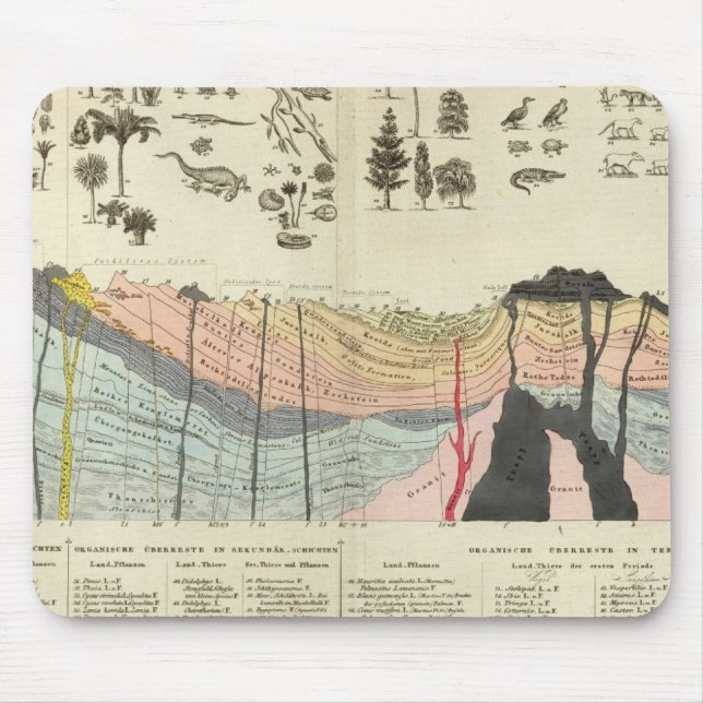 Medelvärde av en del av jordskorpan musmatta (Framsidan)