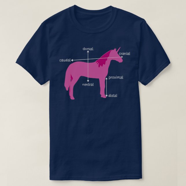 Medical Dimensions Explained On A Unicorn T Shirt (Design framsida)