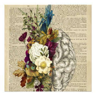 medical floral brain anatomy poster