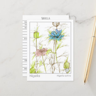 Medical Herb Study Card Nigella Wildblomma Vykort