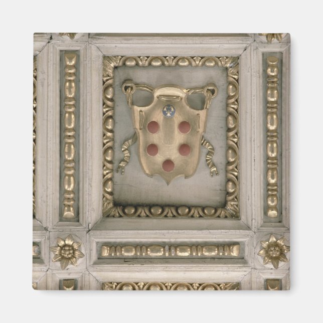 Medici jackat av arm, från kyrkan magnet (Framsidan)