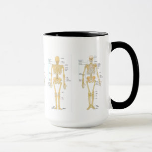 Medicin: Skelett Mugg