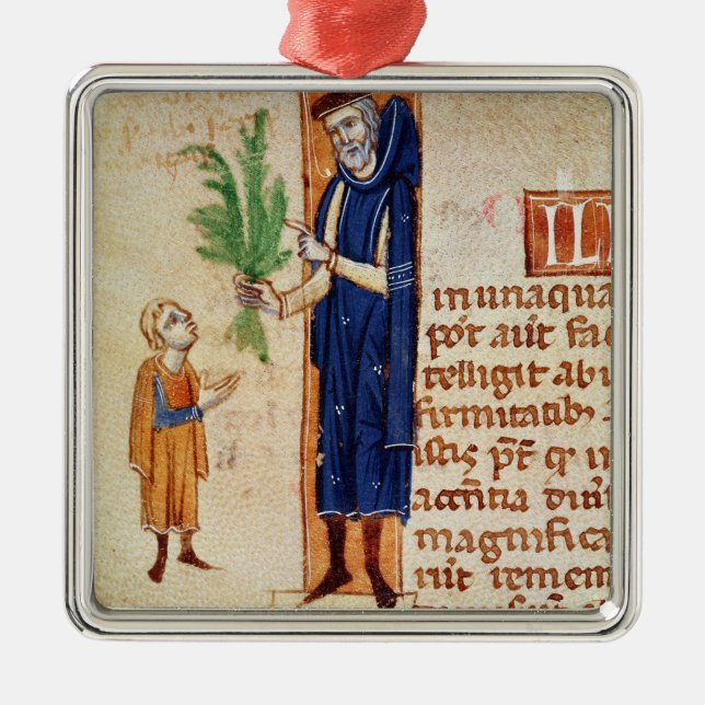 Medicinal växter julgransprydnad metall (Framsidan)