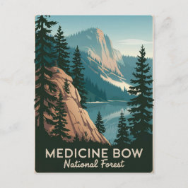 Medicine Bow National Forest Vintage Vykort