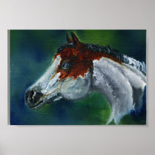 Medicine Hat Pinto Horse Poster