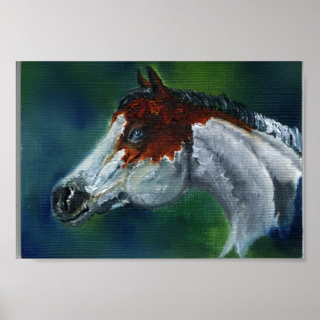 Medicine Hat Pinto Horse Poster (Framsidan)