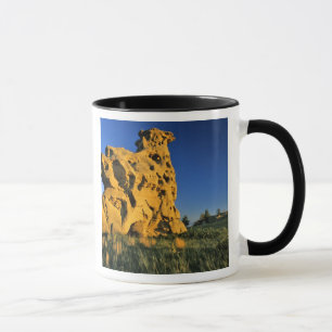 Medicine Rocks State Park nära Ekalaka Montana Mugg