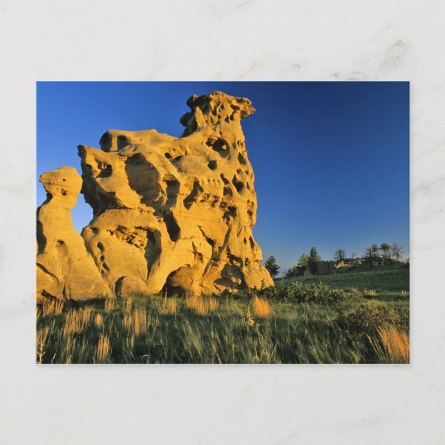 Medicine Rocks State Park nära Ekalaka Montana Vykort (Framsida)