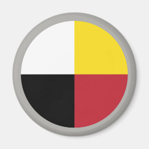 medicinhjul magnet