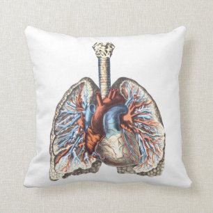 Medicinsk anatomi Anatomical Lungs Kudde