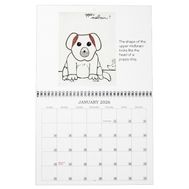 Medicinsk fakultet skissar kalender 2007 (Jan 2026)