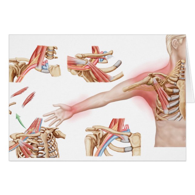 Medicinsk illustration av bröstkorgens utlopp hälsningskort (Framsidan Horizontal)