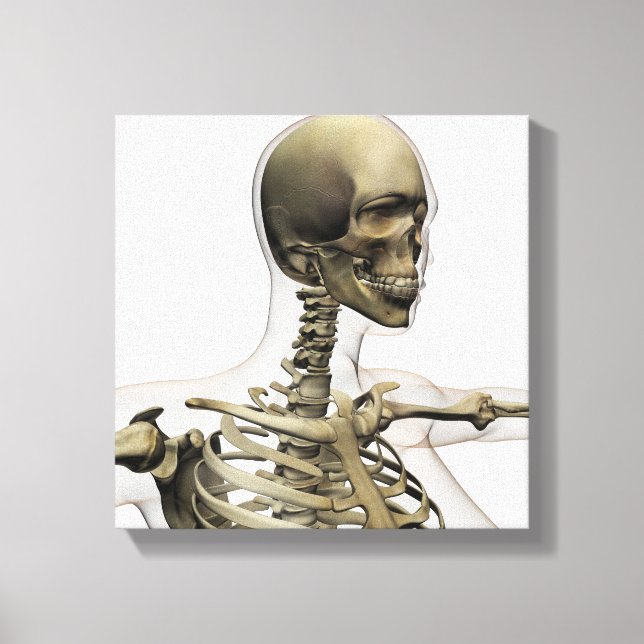 Medicinsk illustration av en kvinnas hud och canvastryck (Framsida)