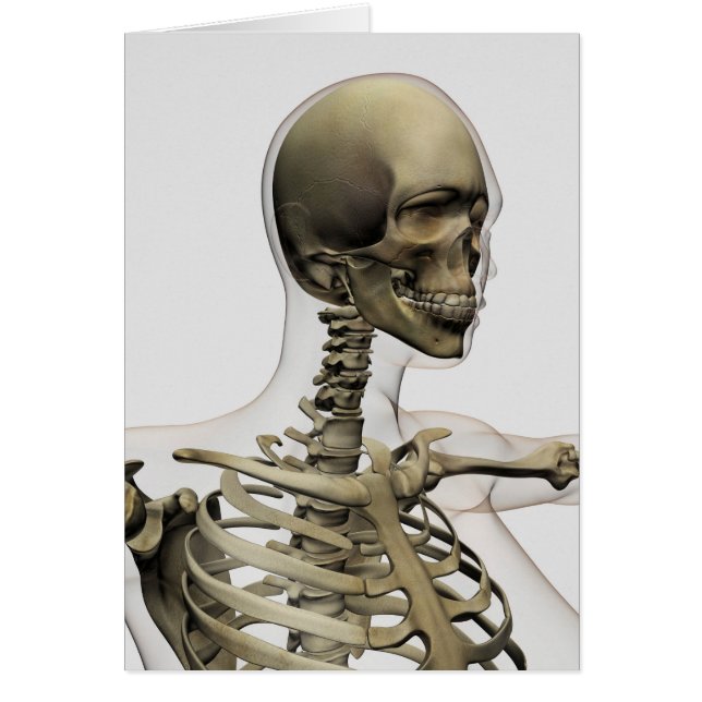 Medicinsk illustration av en kvinnas hud och hälsningskort (Framsidan)