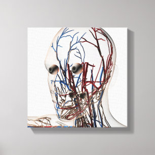 Medicinsk illustration av Head artärer 2 Canvastryck