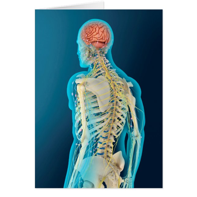 Medicinsk illustration av humant hjärna och hjärnl hälsningskort (Framsidan)