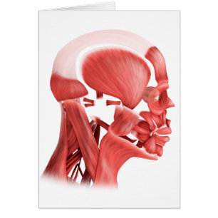 Medicinsk illustration av Male Hälsningskort