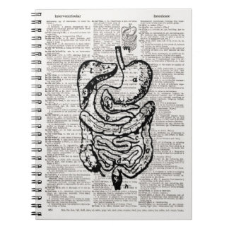 Medicinsk illustration Dictionary Art Anteckningsbok