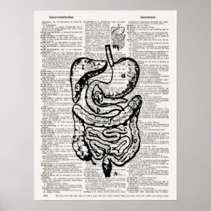 Medicinsk illustration Dictionary Art Poster