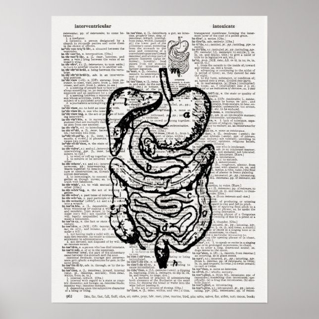 Medicinsk illustration Dictionary Art Poster (Framsidan)