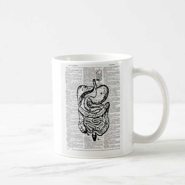 Medicinsk illustrationordbokkonst kaffemugg (Höger)