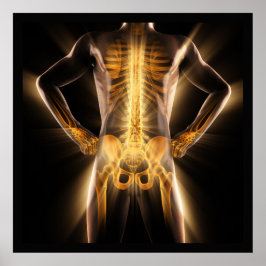 Medicinsk lowing Radiography Scan Human Bones Poster