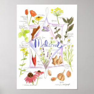 Medicinsk ört Vitlök Echinacea Ginger Poster