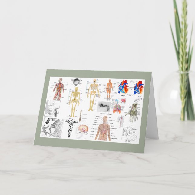 Medicinska diagram i full färg kort (Framsida)