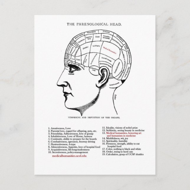 Medicinska humaniora Phrenology Vykort (Framsida)